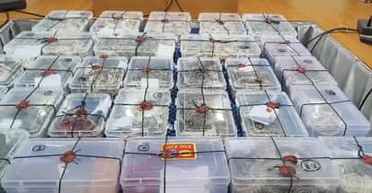 Theft worth over Rs 1.5 crore uncovered, 46 kg of silver buried in the ground recovered