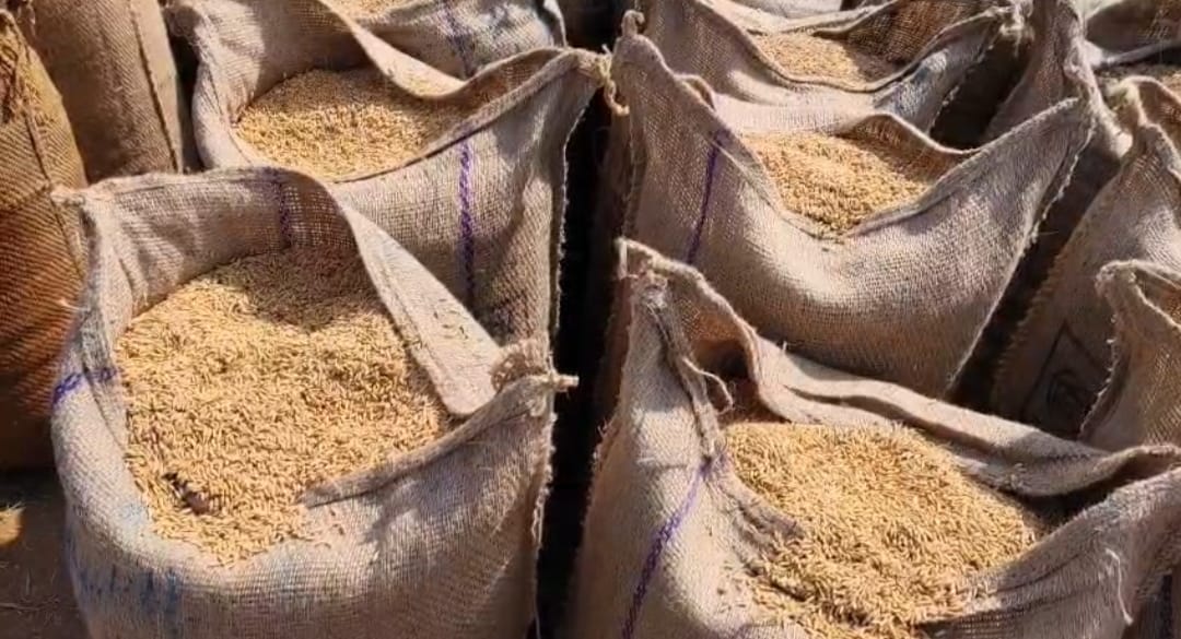 Middlemen business disrupted, illegal paddy worth 400 crore rs not sold to societies