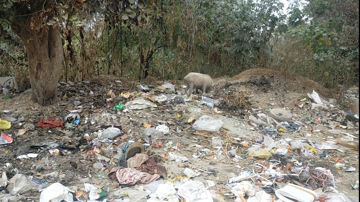 Due to the municipal corporation's negligence, the city's beauty is being marred by filth.