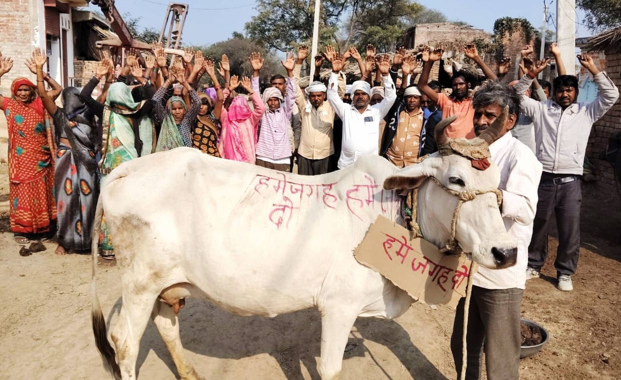 The cow was paraded through the village wearing a placard that read, "Give me a place."