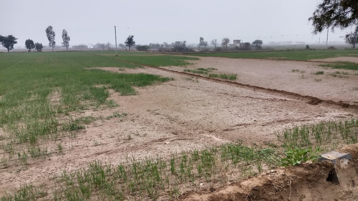 Waterlogging caused pain... farmers received neither compensation for the damage nor insurance.