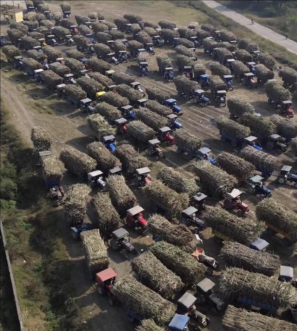 In ten years, the area under sugarcane cultivation has decreased by 55 percent; farmers are abandoning cultivation due to delayed payments and rising costs.