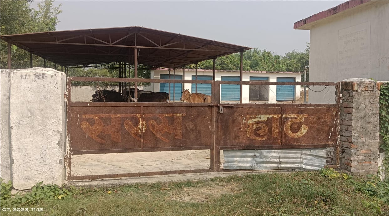 Even after 15 years, the Majhwara market could not be handed over due to the lack of a proper road.