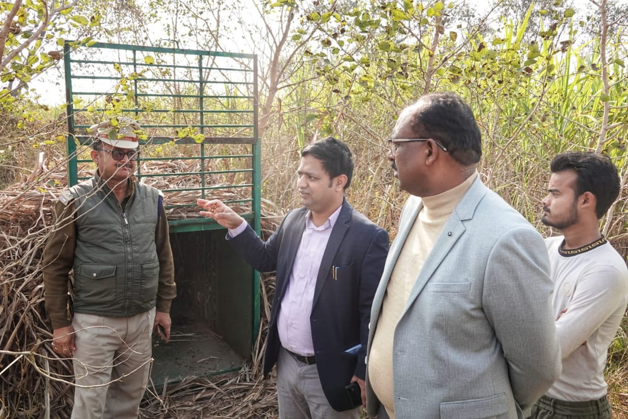 Leopard terror in residential areas, two dead in 10 days