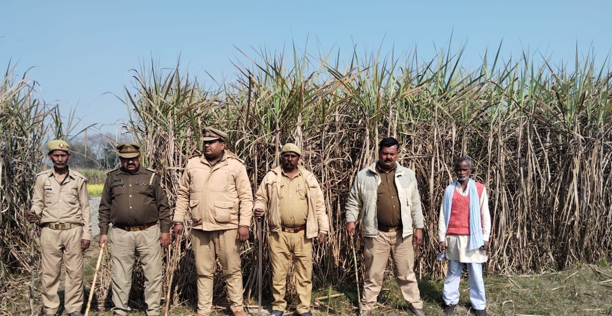 Villagers are not going to the fields due to fear of leopards, and the sugarcane crop is drying up.