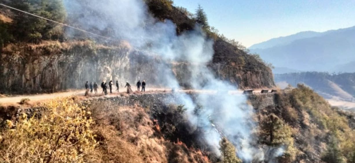 Devta forest blazed, forest wealth worth lakhs burnt