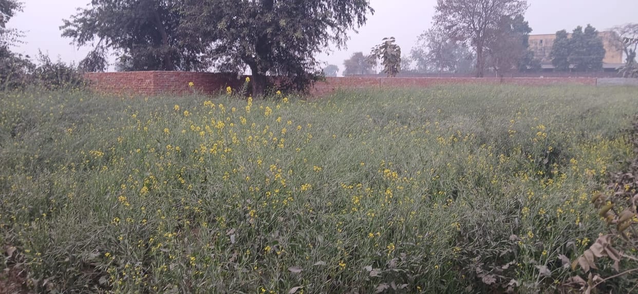 The change in weather brought smiles on the faces of farmers.