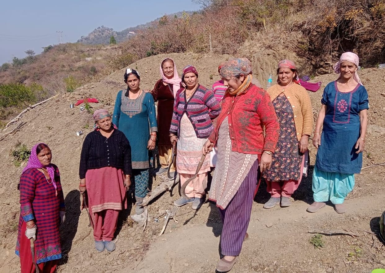 Women clean public roads
