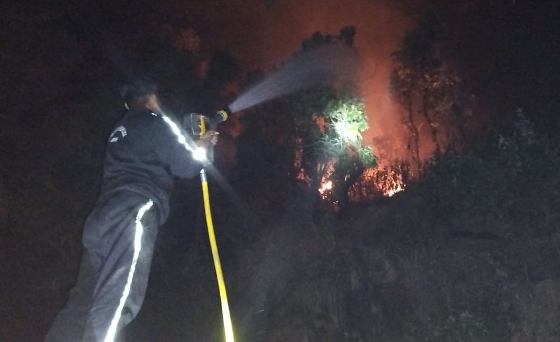 A massive forest fire broke out, firefighters brought it under