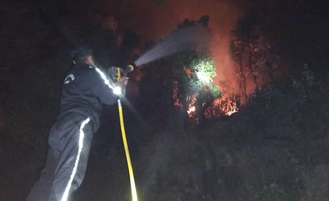 लोहाघाट में बीआईटीएम के पास जंगल में लगी आग को बुझाते दमकल कर्मी। स्रोत: दमकल कर्मी