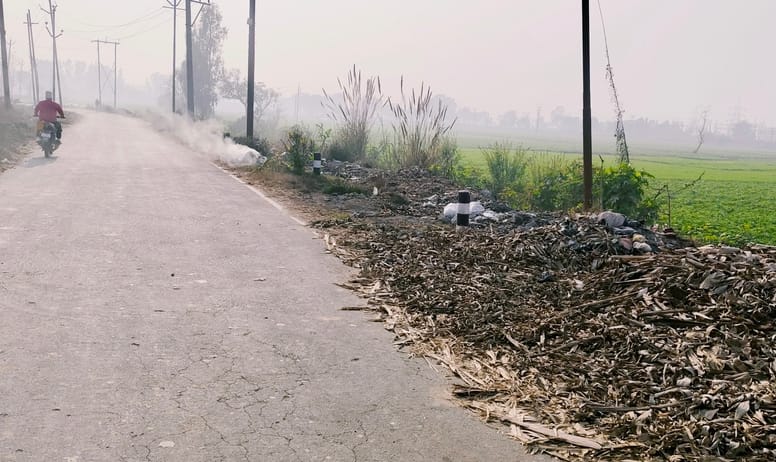Piles of waste from banana warehouses