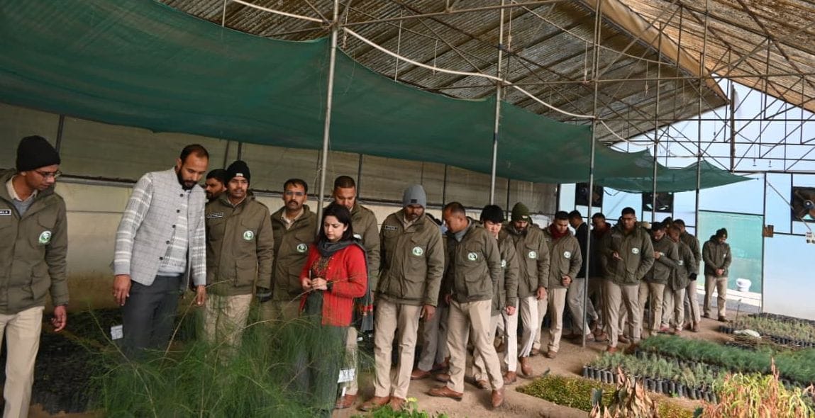 Training on seed processing given to forest department officials