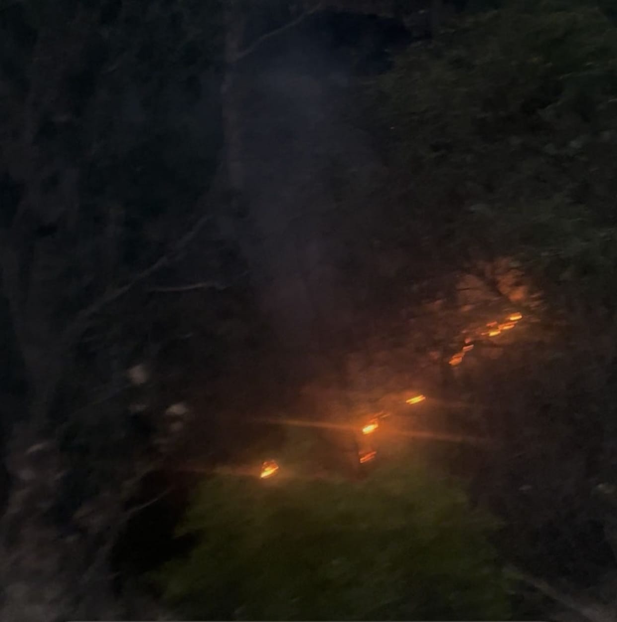 A forest fire broke out near Dhoba village in Nithar