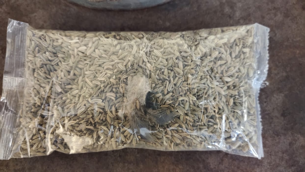 Peacock feathers and waste found in cumin packets of mid-day meal