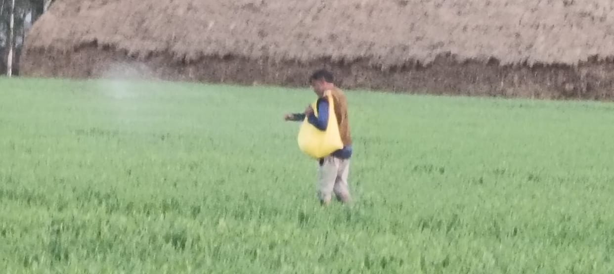 The effect of snowfall and rain in the hilly areas was visible in the district