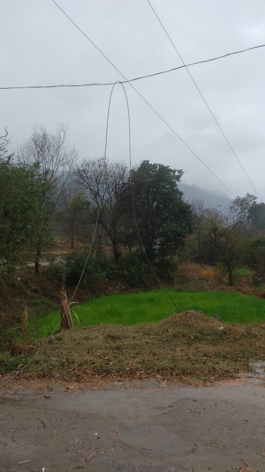 Badsar's industrial area Balh Bihal was deserted even before it was settled.
