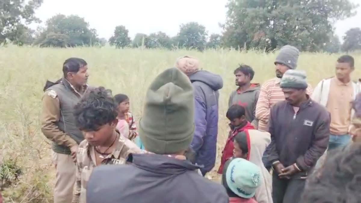 A tiger carried away a boy carrying flour...chewed his head, chest, neck and waist.