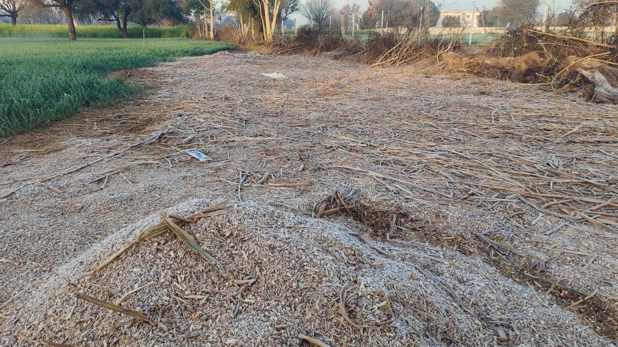 The minimum temperature dropped by 9.6 degrees in 24 hours, and frost formed in the morning.