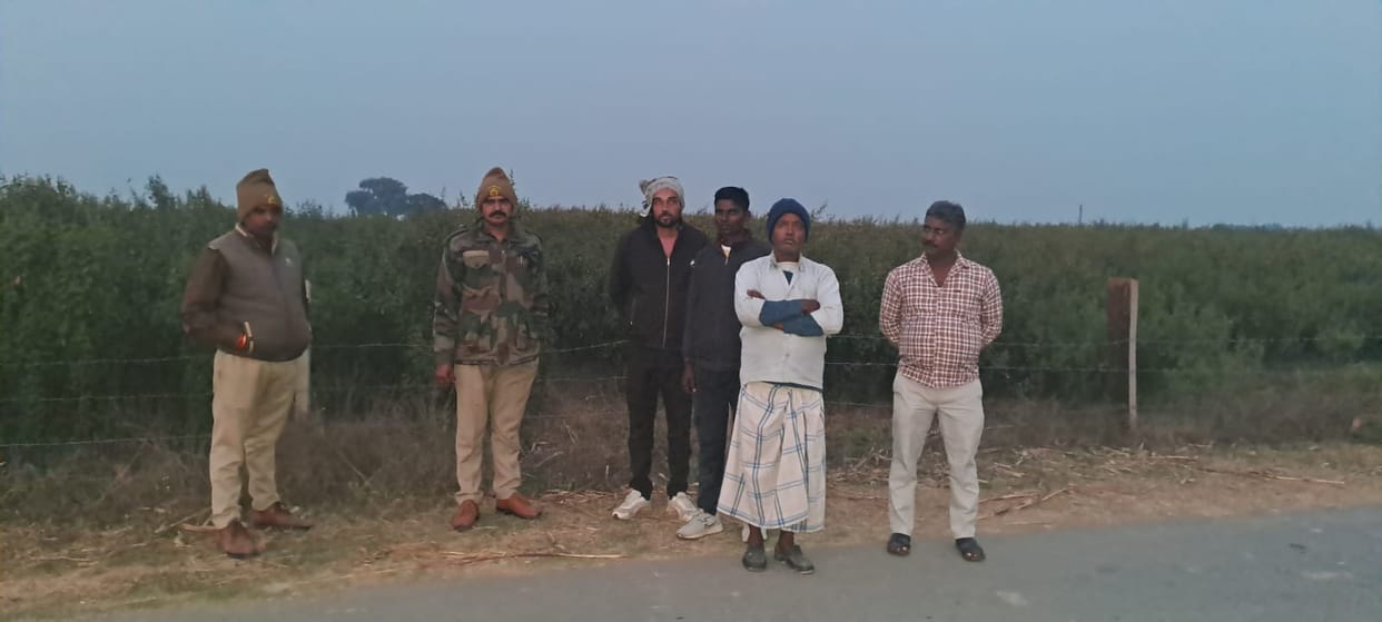Leopard was not seen again in Siwan of Matikhana