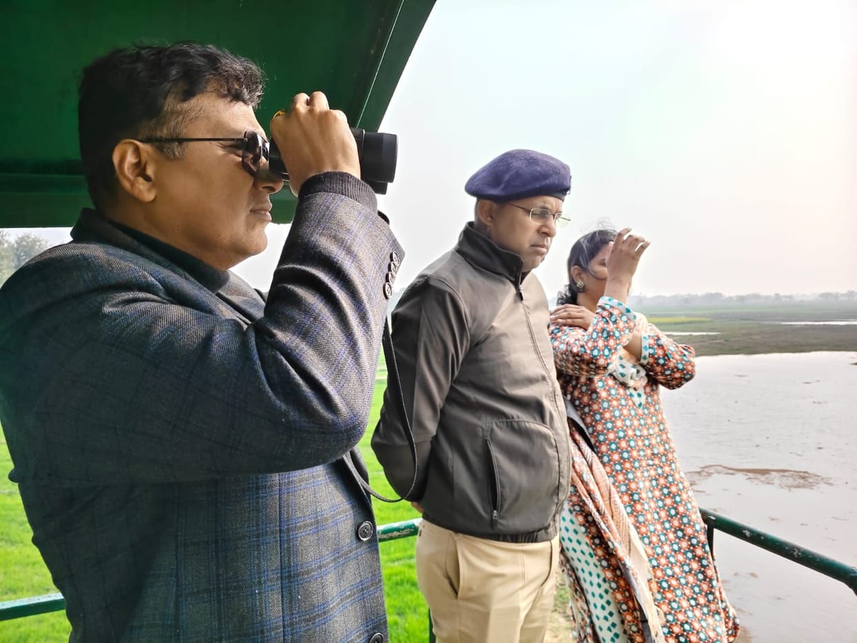 Strict action will be taken if birds are hunted