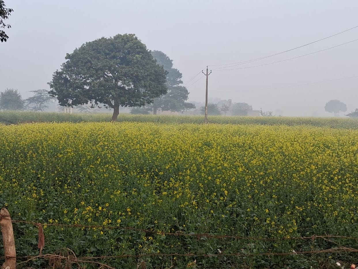 etah news agriculture rain