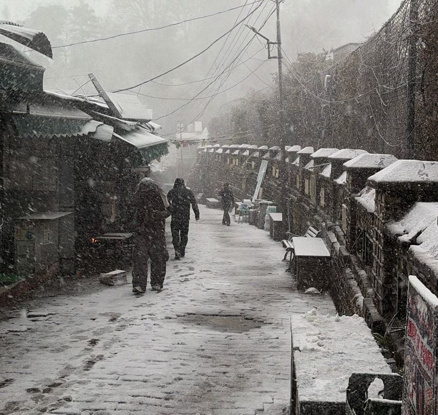 After snowfall in Kasauli and Chail, tourists' footfall in hotels increased.