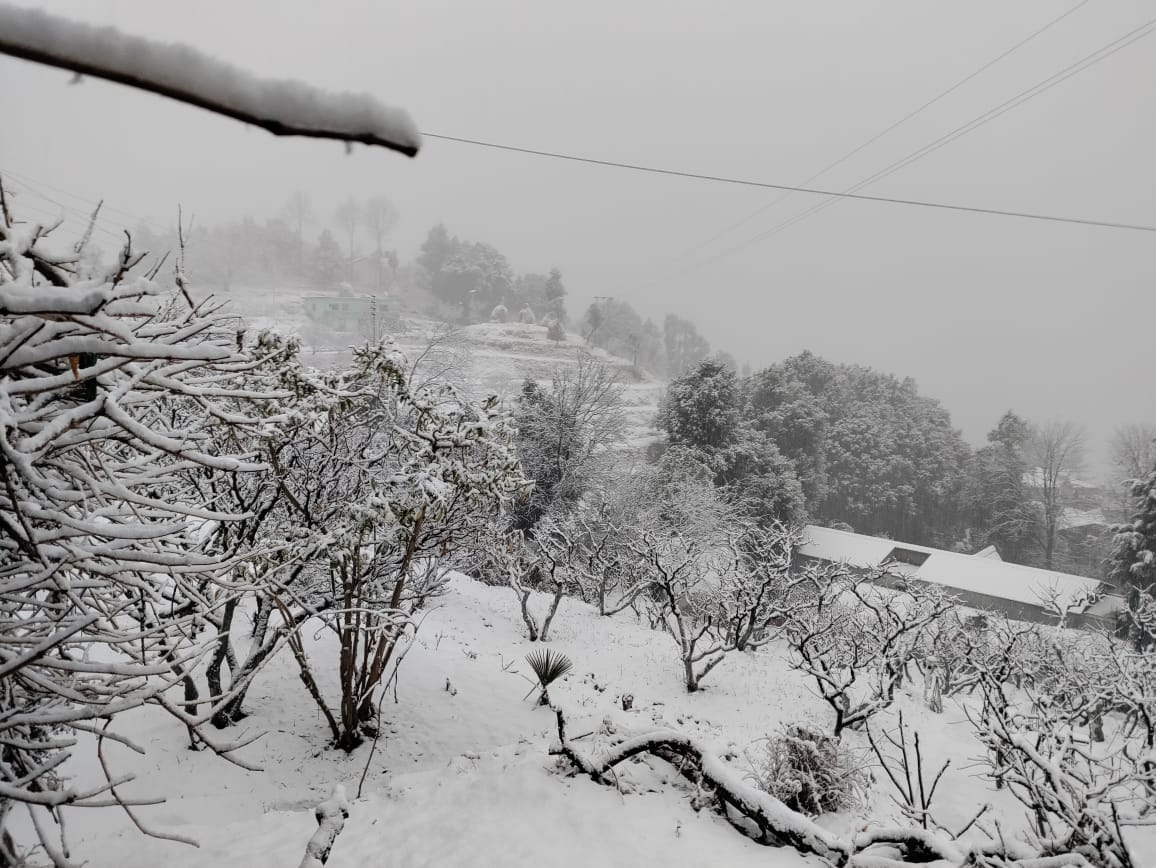 The sweetness of the apples received a new lease of life from the snowfall.