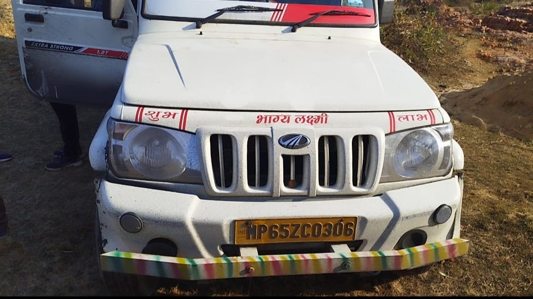 पिक अप वाहन और जब्त मवेशी