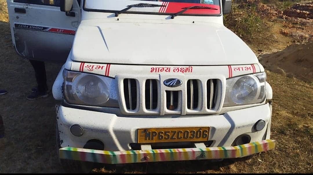 पिक अप वाहन और जब्त मवेशी