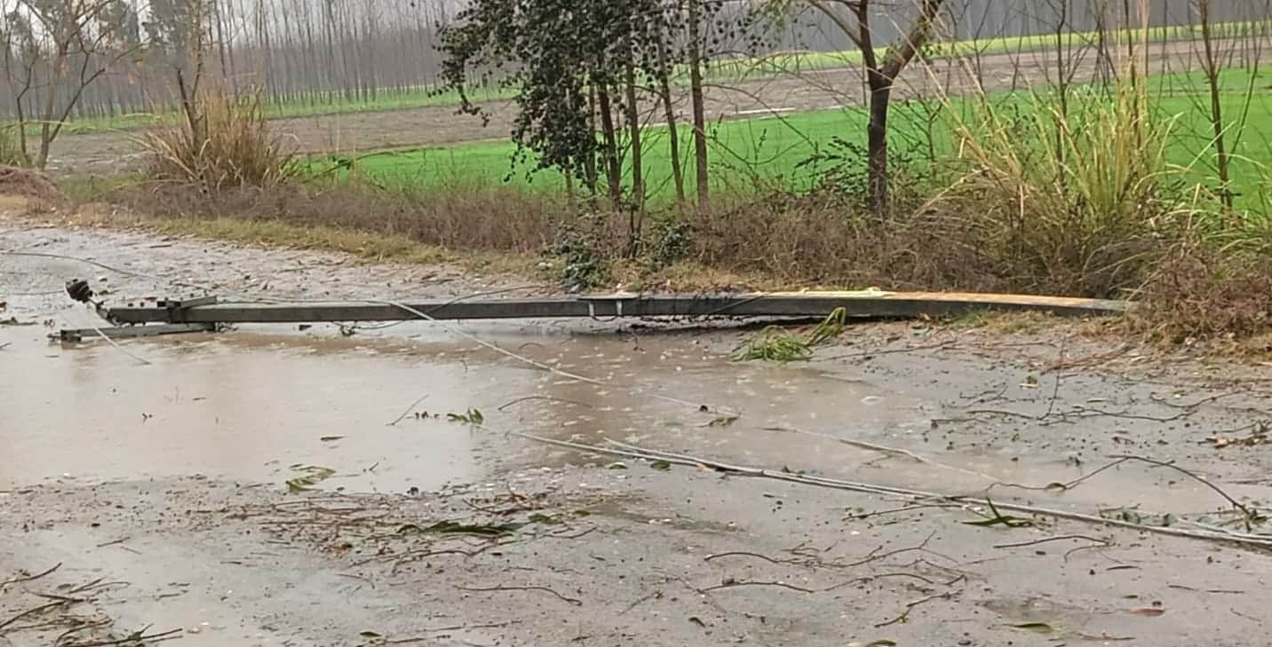 पठेड क्षेत्र में तेज हवा के कारण गिरे बिजली के खंभे।स्रोत-ग्रामीण