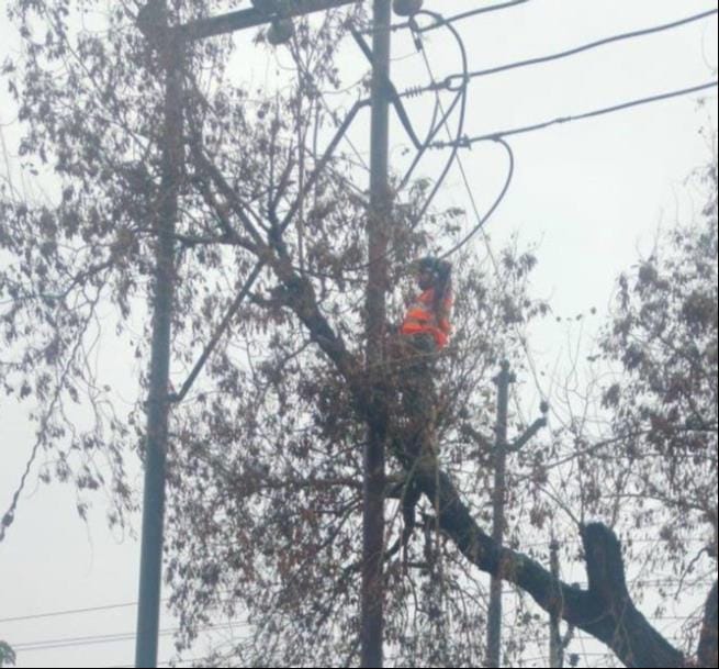 Fault in rain, people yearn for electricity and water
