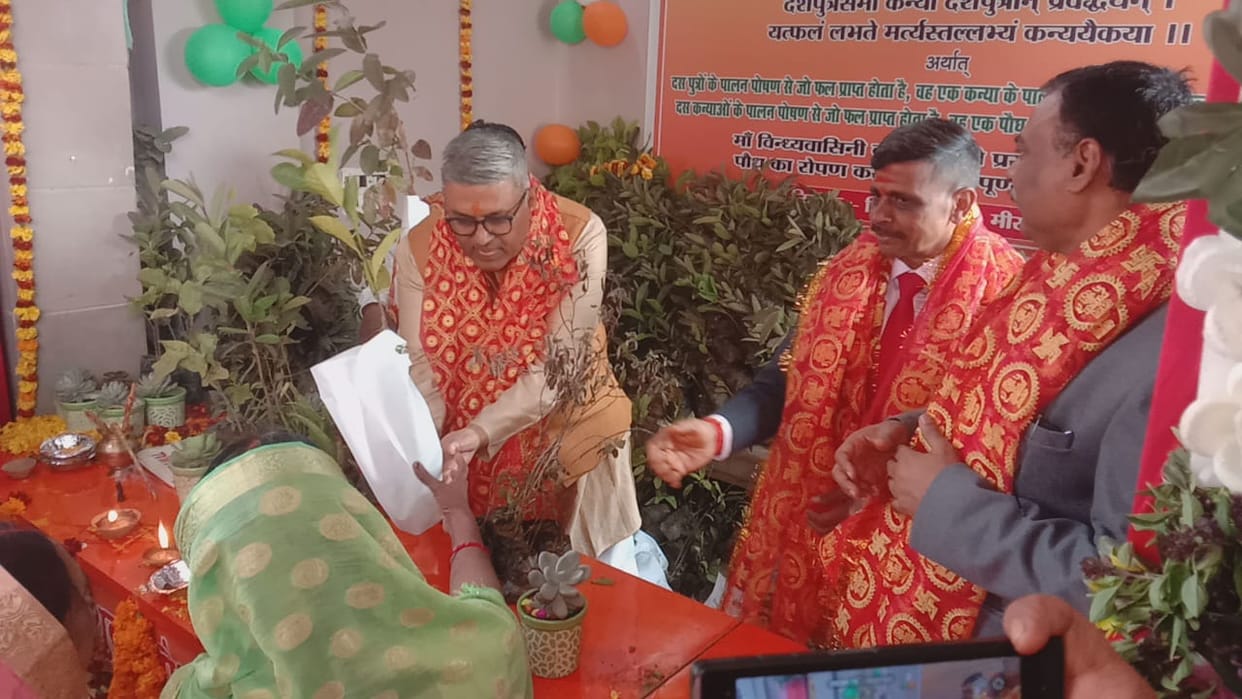 Distribution of saplings started at the court of Maa Vindhyavasini.