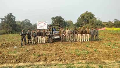 Aurangabad News: Security forces destroyed illegal opium cultivation of five bighas in Naxal affected area