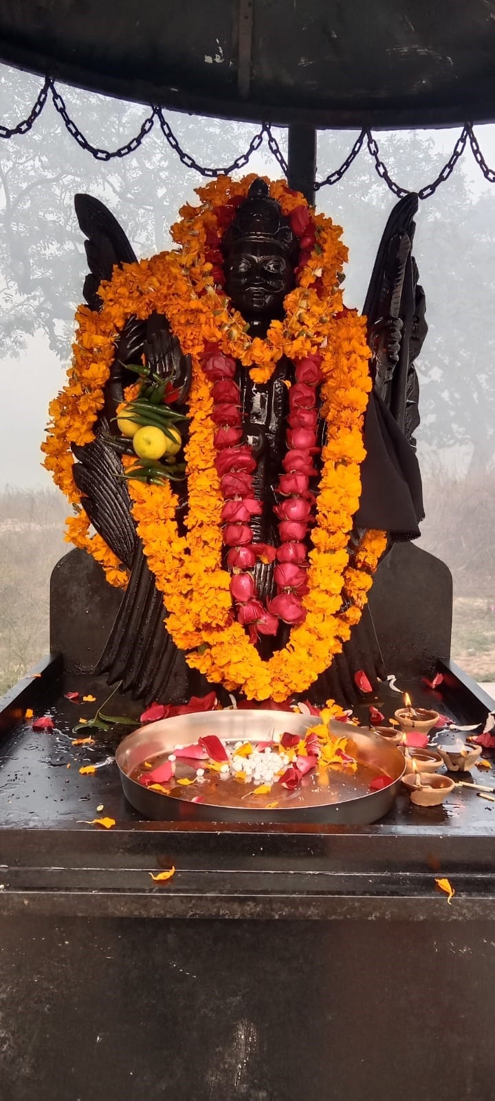 Shanidev's decoration, devotees queue up for darshan and worship