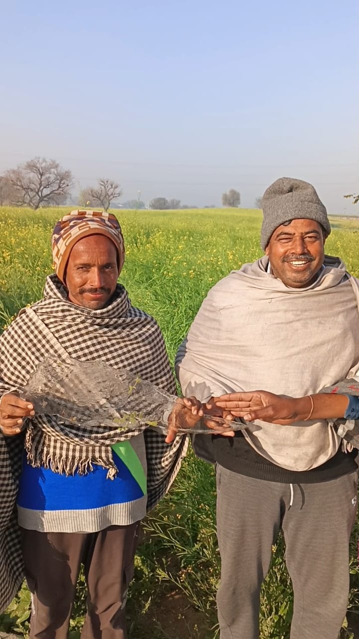 Mahendragarh recorded the coldest night in the state, and a cold wave prevailed throughout the day.