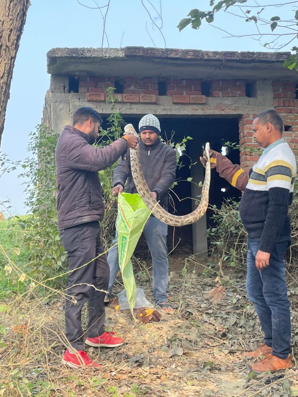 etah news python recovered