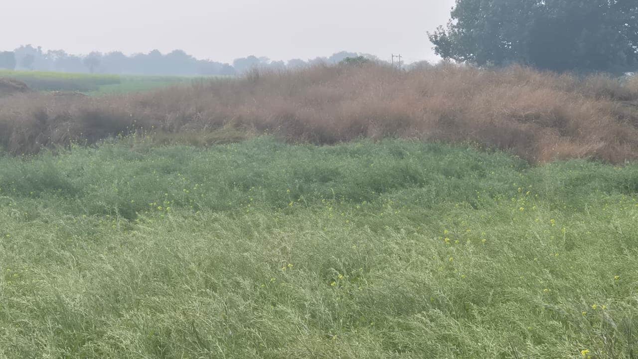 सांकेतिक तस्वीर