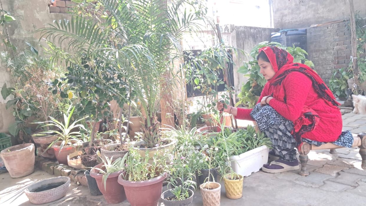 Inspired by environmental conservation, Swati filled the empty courtyard of her house with plants.