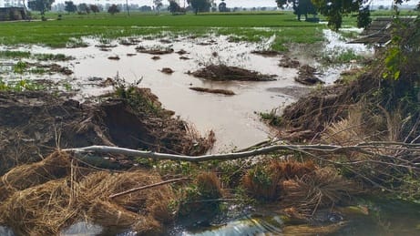 300 acres of crops submerged due to overflow canal breakage