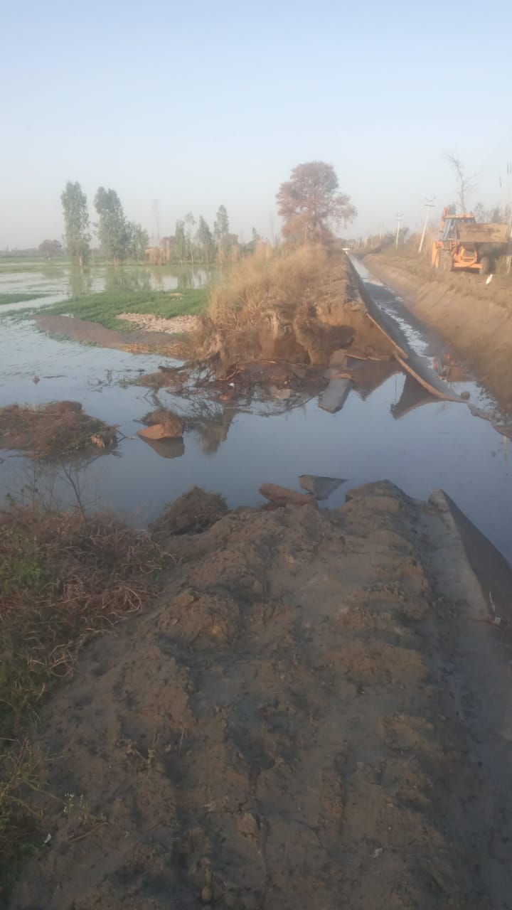 A breach in a canal in Rohtak submerged 60 acres of wheat crop.