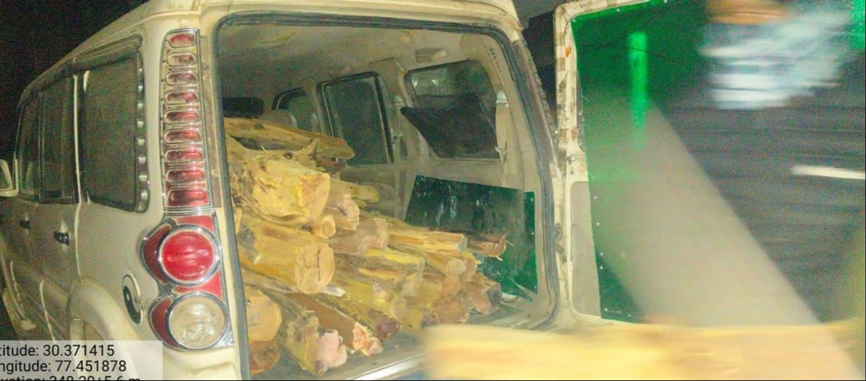 Four khair trees were cut down from the Darapur forest; the timber was recovered