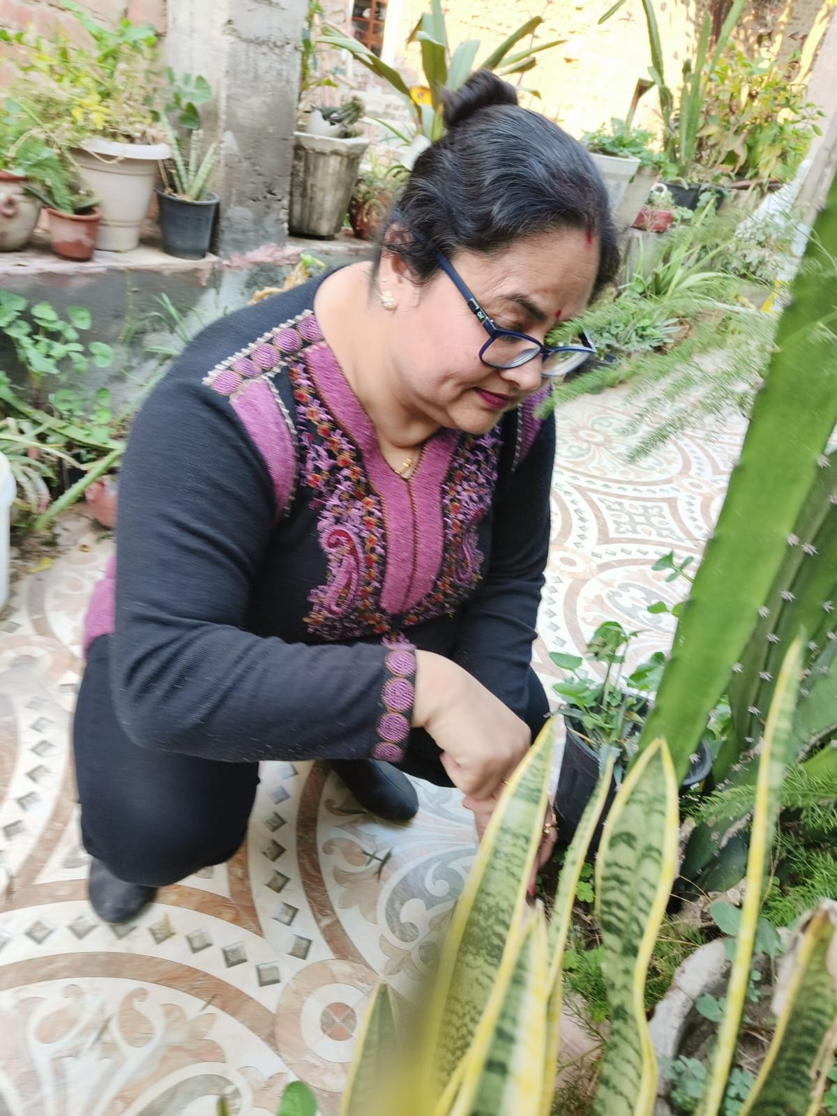Dr. Parminder Kaur's love for plants has transformed her home into a dispensary.