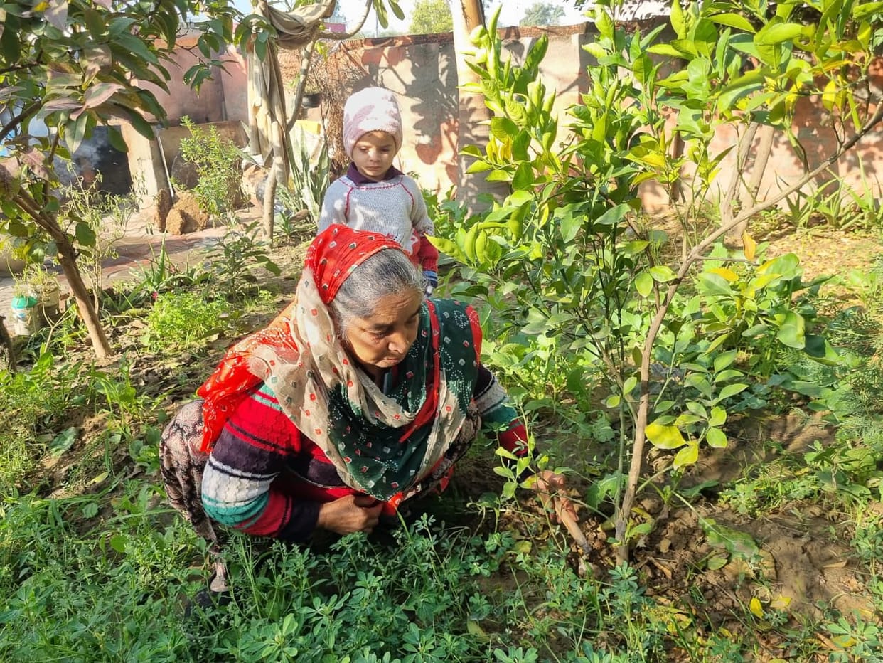 Nirmala's garden has been filling her home and courtyard with fragrance for the past five years.