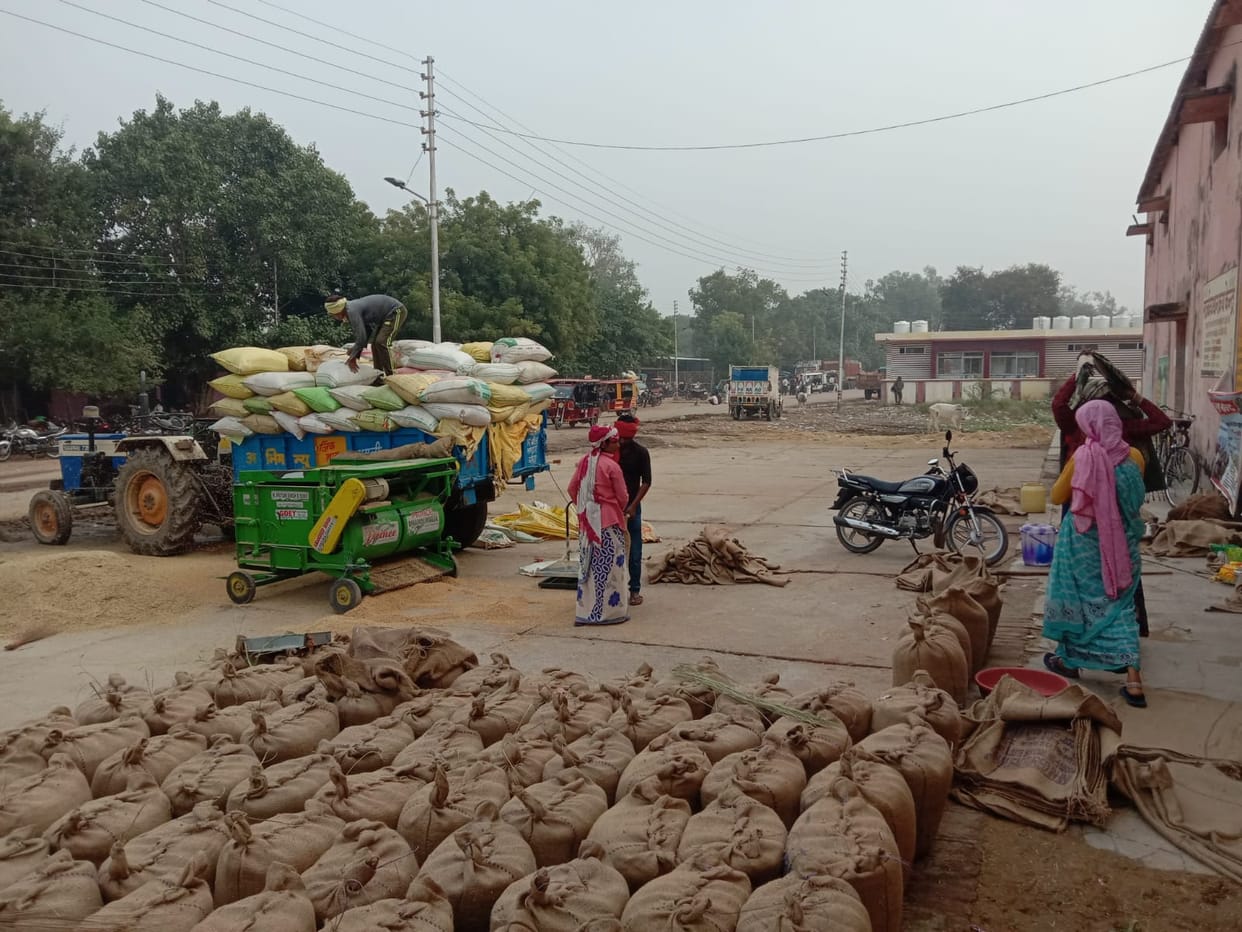 A trader's firm was given the transportation contract, and 1.5 lakh quintals of paddy was dumped due to lack of lifting.