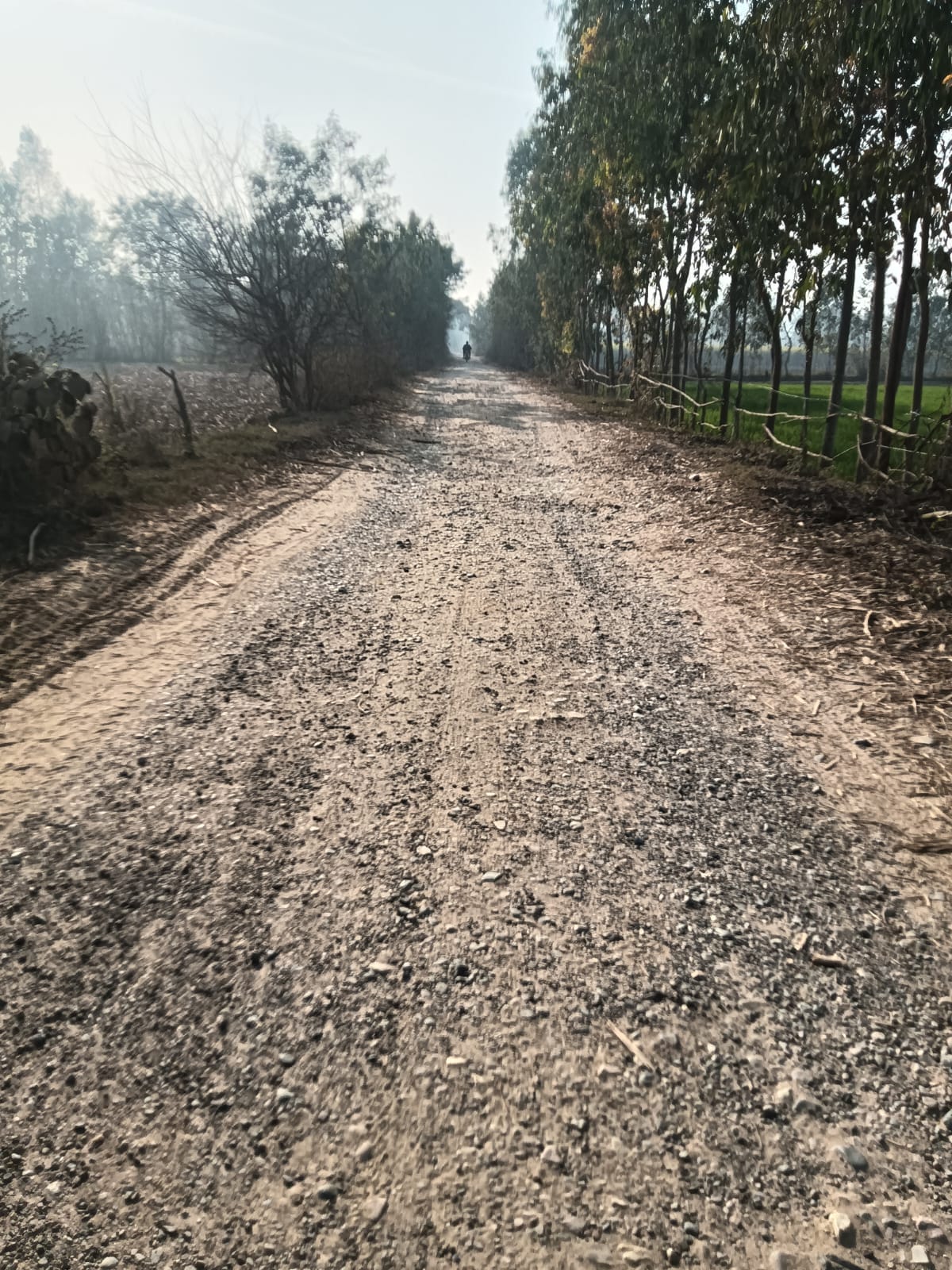 The road is incomplete and dilapidated in some places...difficult to walk.