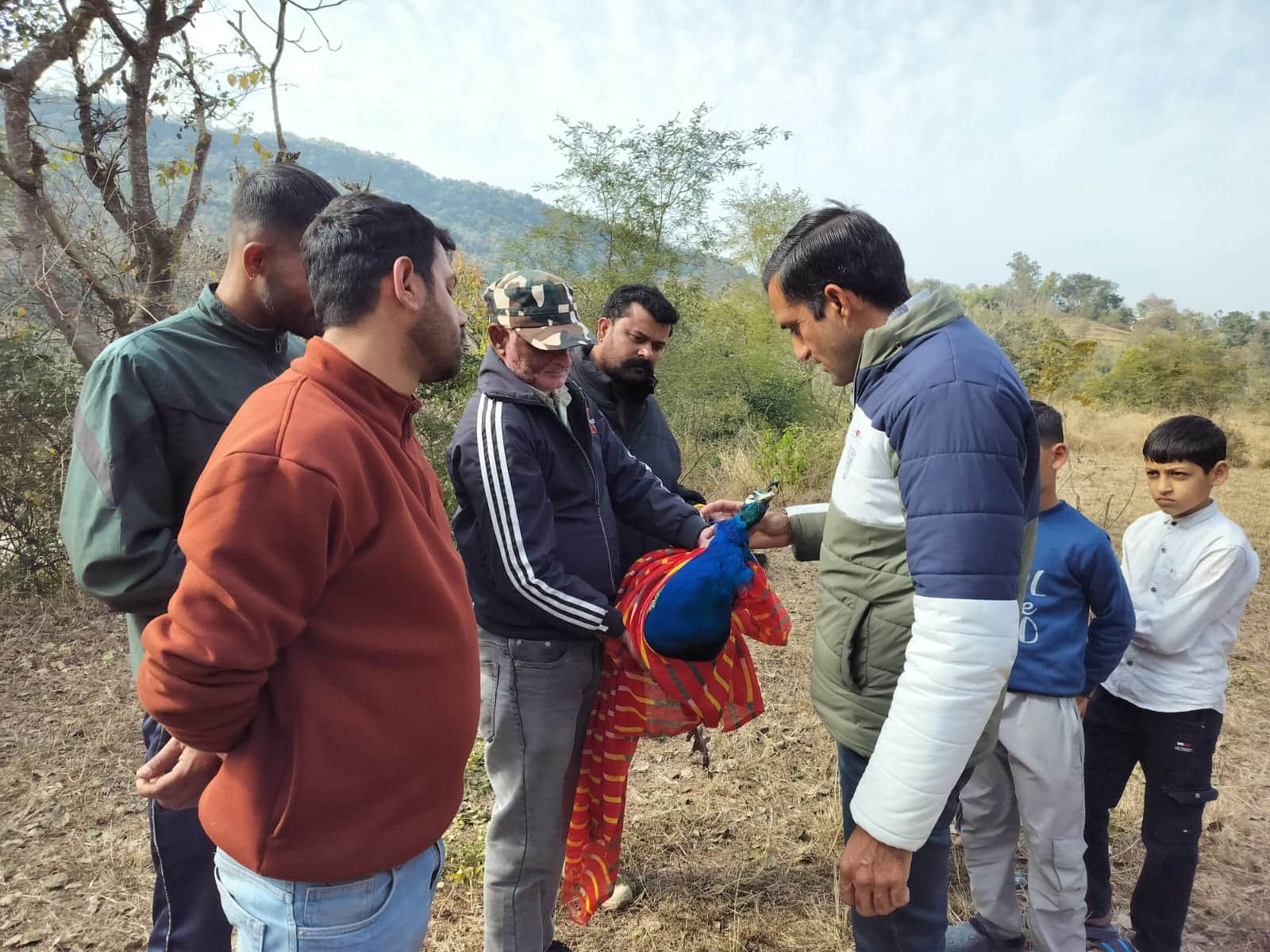 मृत मोर को कब्जे में लेते हुए वन विभाग के अधिकारी। स्रोत : जागरूक पाठक