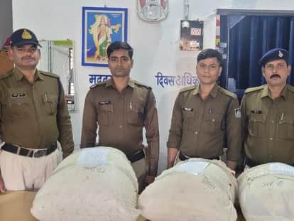 ₹20 Lakh Worth of Ganja Seized from Bushes in Mandla Following Rajasthan Police Tip-Off