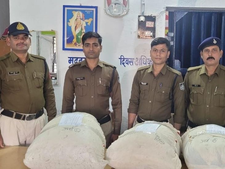 ₹20 Lakh Worth of Ganja Seized from Bushes in Mandla Following Rajasthan Police Tip-Off
