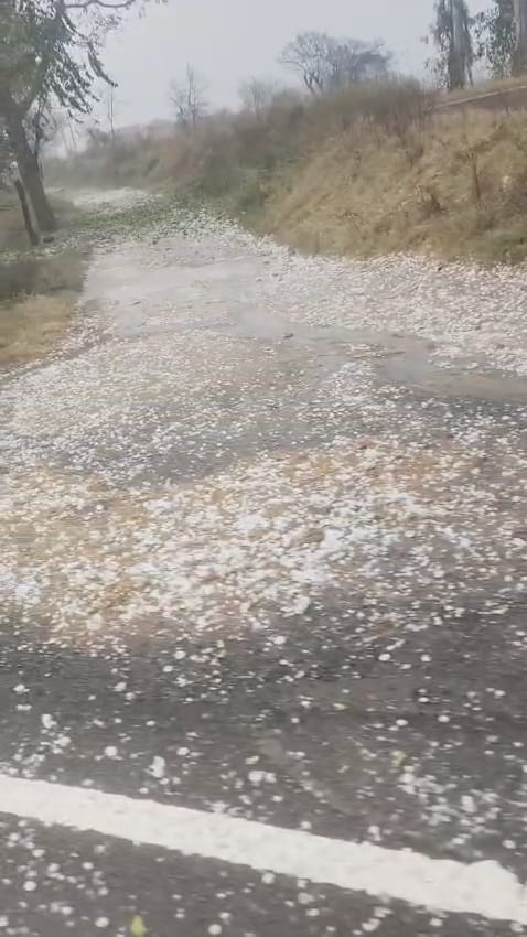 Hailstorm in more than 10 villages of the district ruined the hard work of the farmers