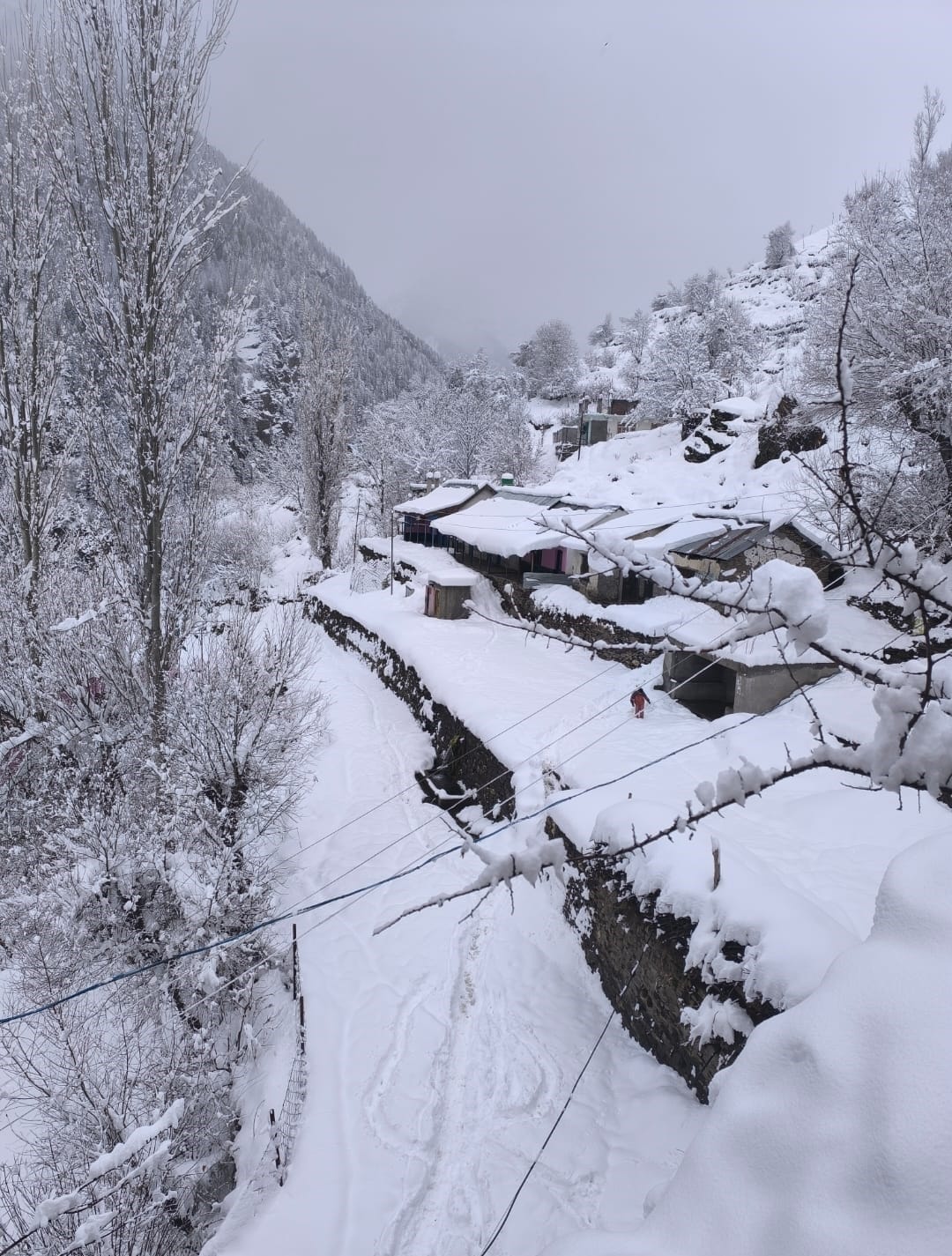 Snowfall and rain add to problems, 685 villages plunge into darkness